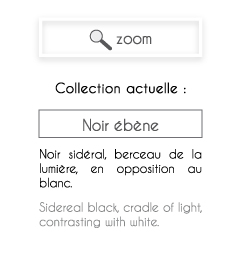 description de la collection de sculptures Noir ébène
